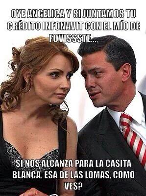 meme gaviota