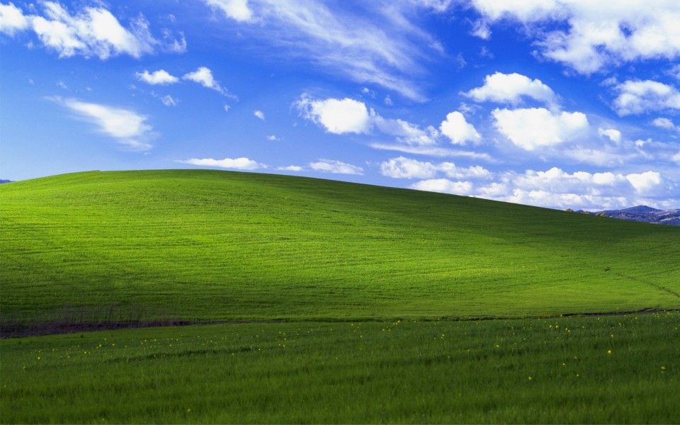 Bliss