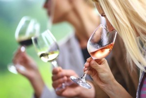 cata_de_vino.jpg_1402153388