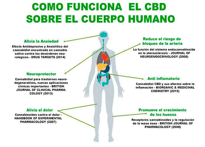 xcbd-salud.jpg.pagespeed.ic.K21ifX7qhV