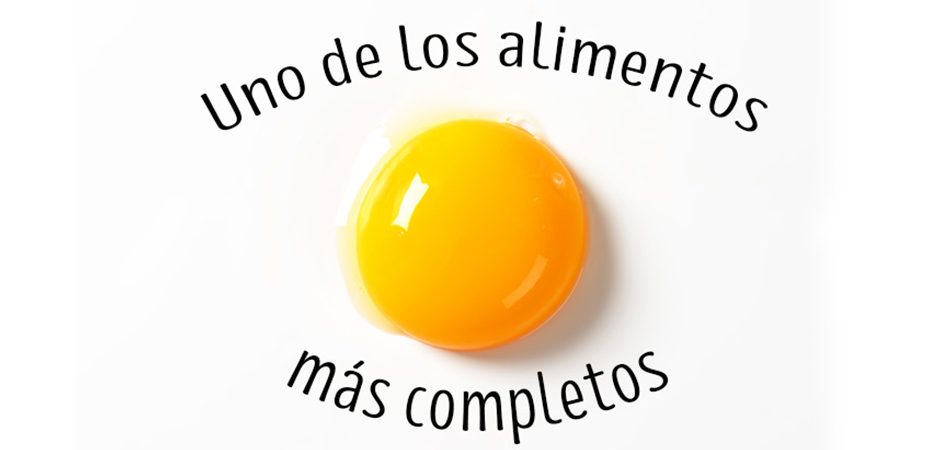el-huevo-y-el-mito-del-colesterol