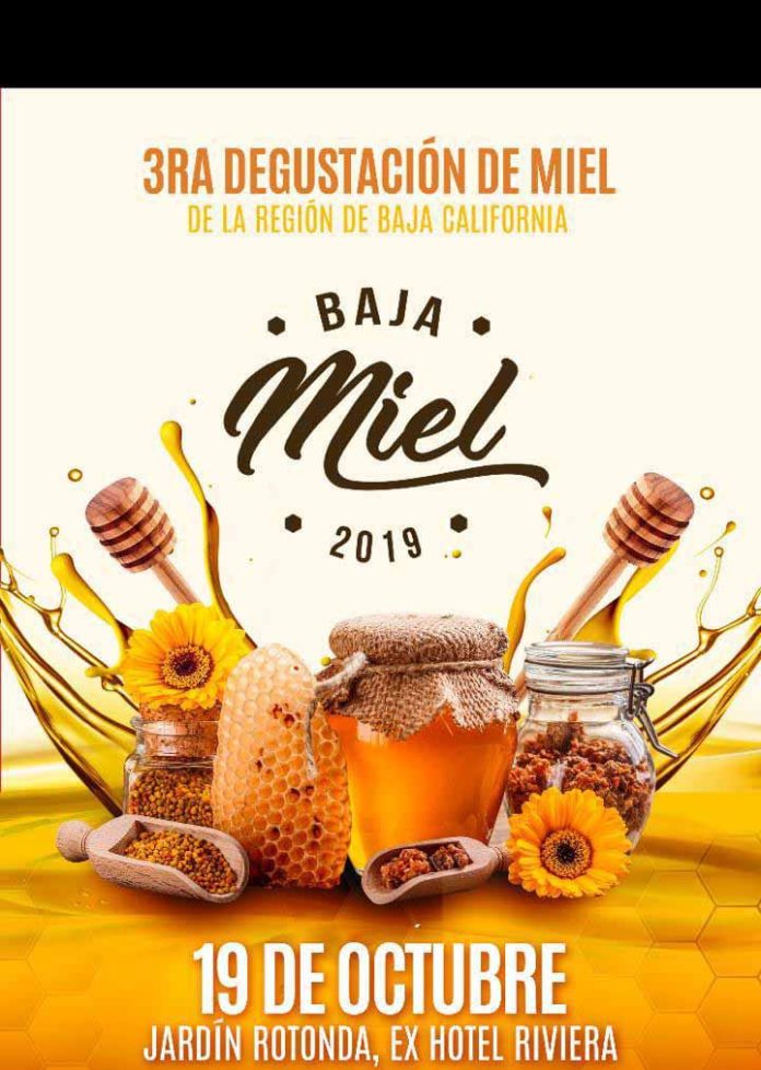 Baja Miel 2019