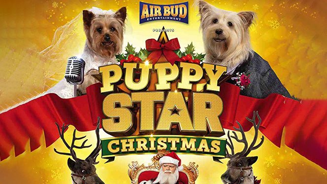 Puppy Star Christmas