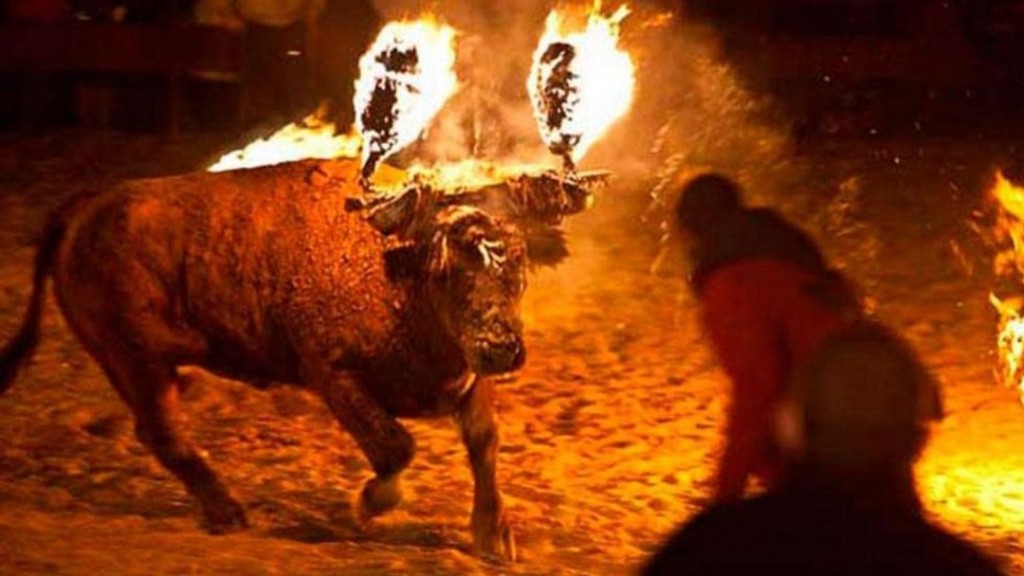 Toro jubilo
