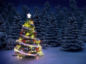navidad8