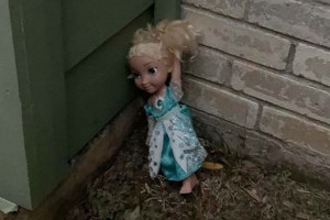 elsa