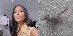 kim-kardashian-langosta