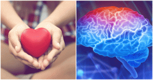 portada-cerebro-1024x536