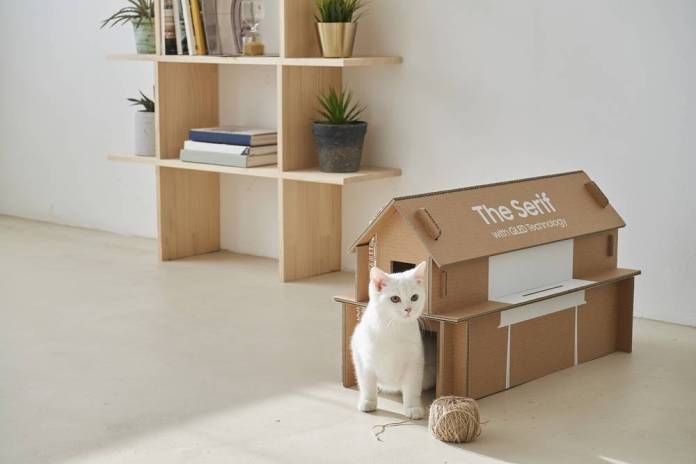 cat jaus