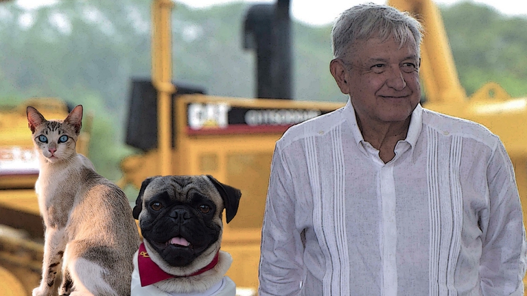 amlo