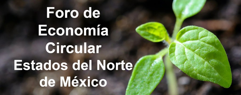 El Foro de Economía Circular (CEF por sus siglas en inglés) en los Estados del Norte de México, es una iniciativa de la Unión Europea, representada por la Delegación de la Unión Europea en México, con la colaboración activa de la Confederación Patronal de la República Mexicana (COPARMEX) Delegación Chihuahua.