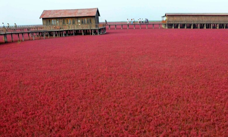 playa_roja_china-780x470