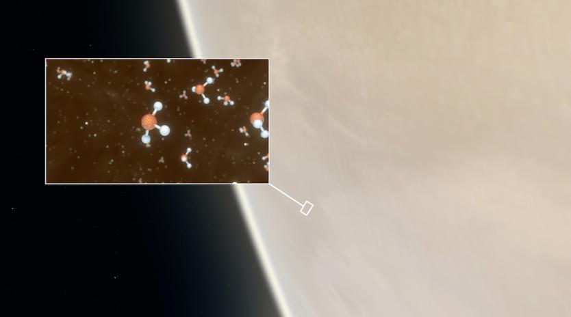 venus_0