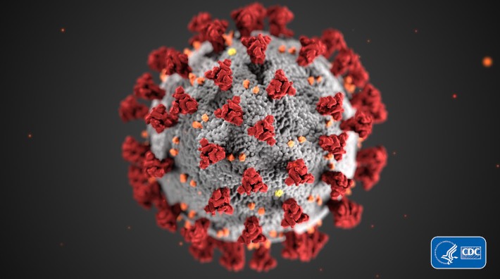 Coronavirus