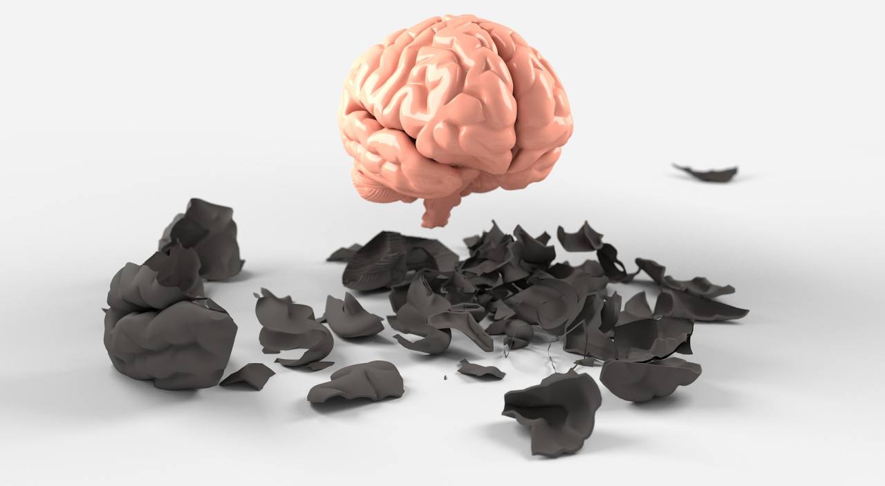 brain-3438742_1920
