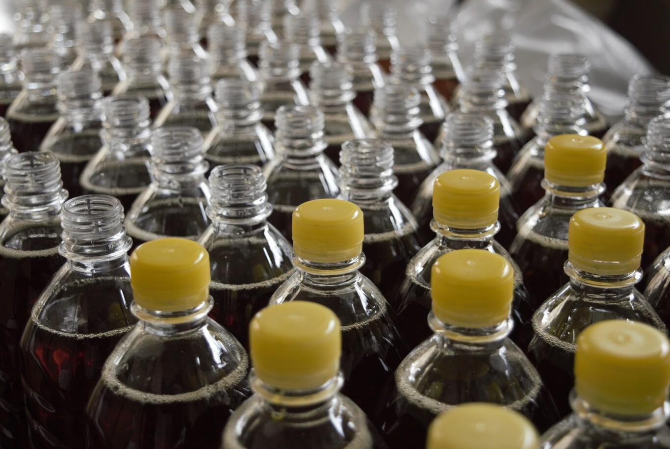 botella