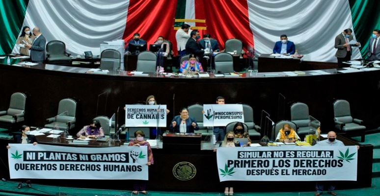 La Cámara de diputados legalizó el uso lúdico de la marihuana