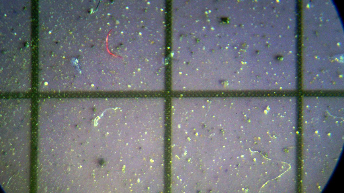 microplasticos-nieve-siberia-104437