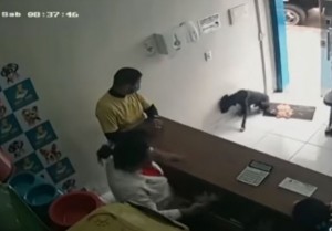 Perro herido llega solo a veterinaria y pide ayuda. - Video de YouTube