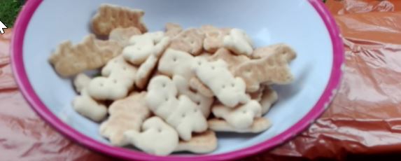 Galletas de animalitos - Búsqueda de Google