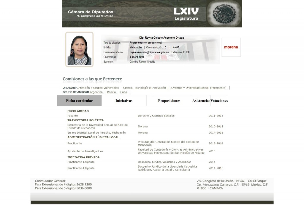 Reyna Celeste Ascencio Ortega,-curricula-php-2021-04-13-15_03_26