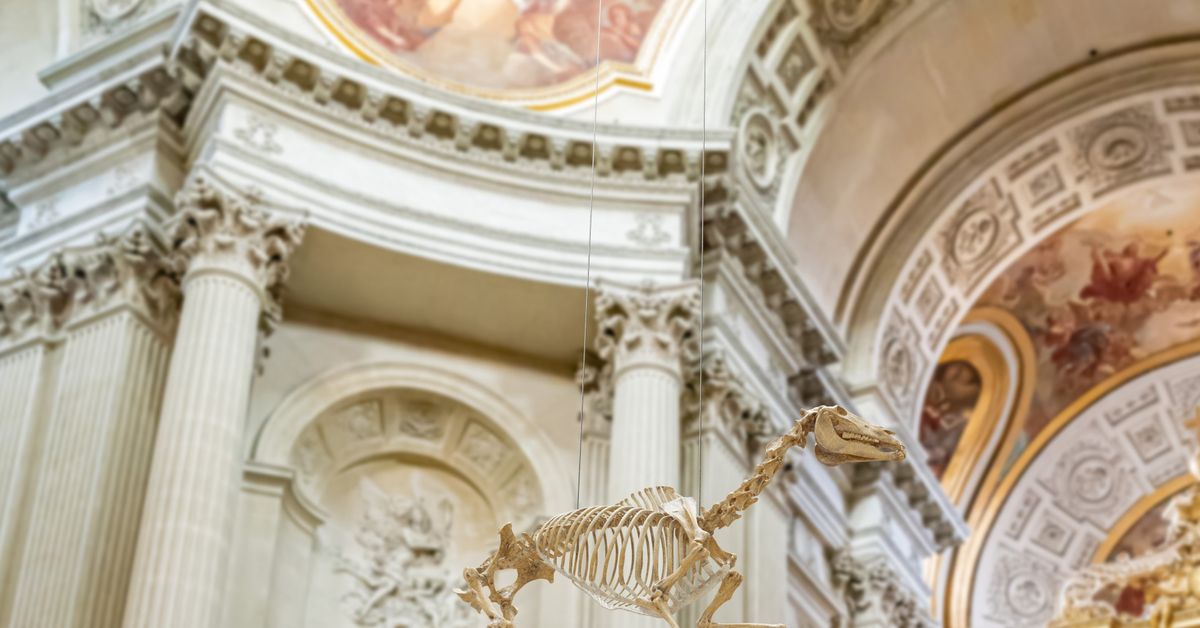 d30b9121-4549-427d-9bd6-8cf8493215ef_twitter-aspect-ratio_default_0