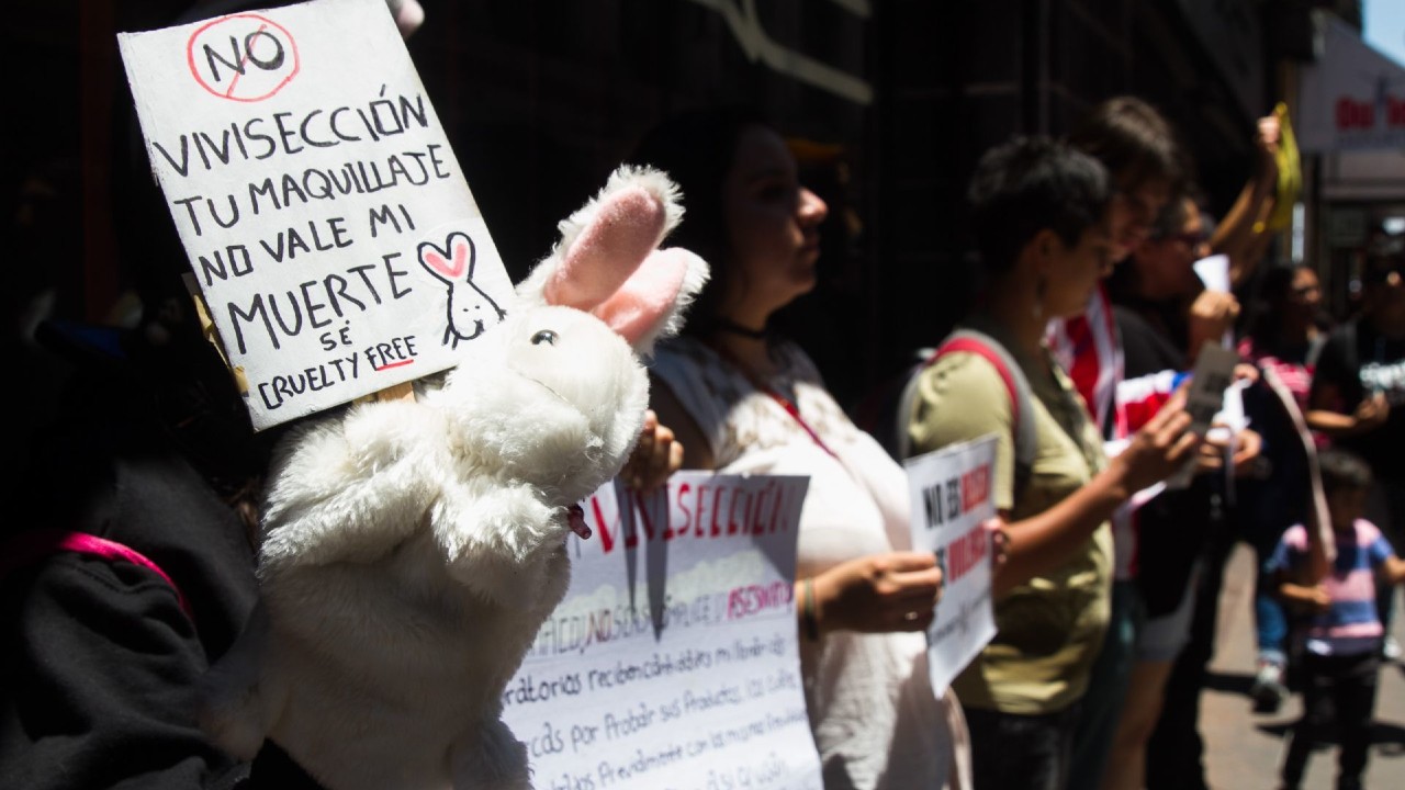 diputados-avalan-dictamen-que-prohibe-realizar-pruebas-cosmeticas-en-animales-foto-cuartoscuro