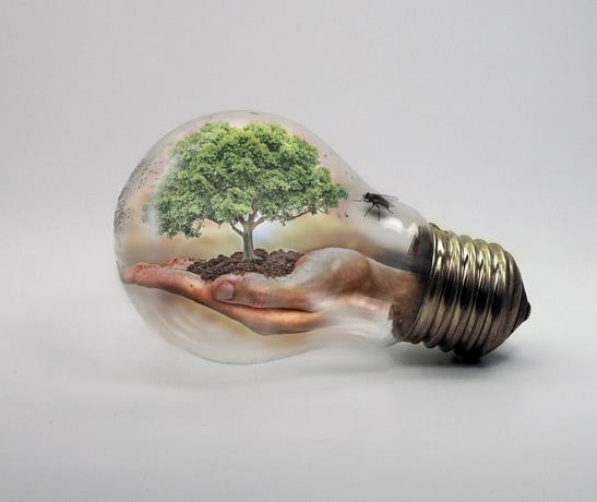 el-ano-2050-como-horizonte-para-las-ambiciones-climaticas-del-planeta
