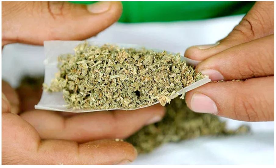 Marihuana en Baja Calfornia