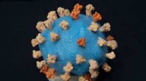 Virus SarsCov-2