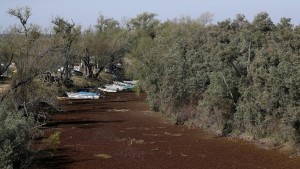 Botes-varados-en-un-humedal-seco-en-la-orilla-del-río-Paraná_-en-Rosario