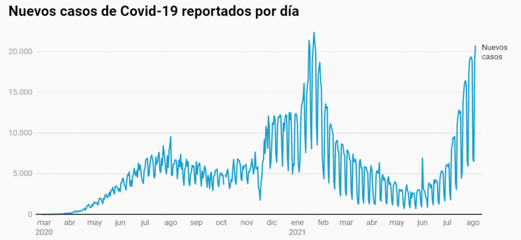 Casos reportados
