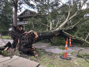 En una calle de Nueva Orleans, tras el paso de la tormenta tropical 'Ida', el 30 de agosto de 2021