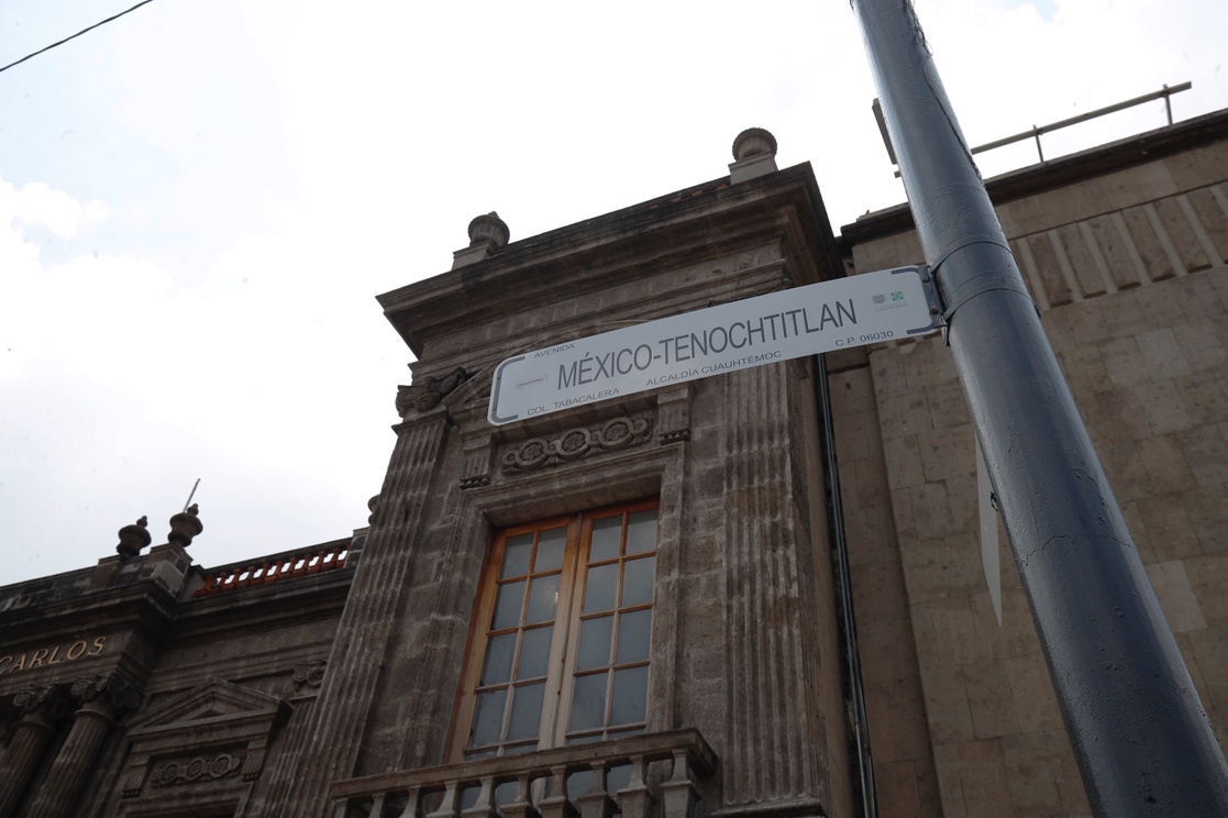 image_large (2)