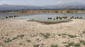 La Conagua informó que garantizará el abasto de agua en las poblaciones más afectadas por la sequía