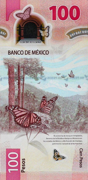 100-reverso-110407