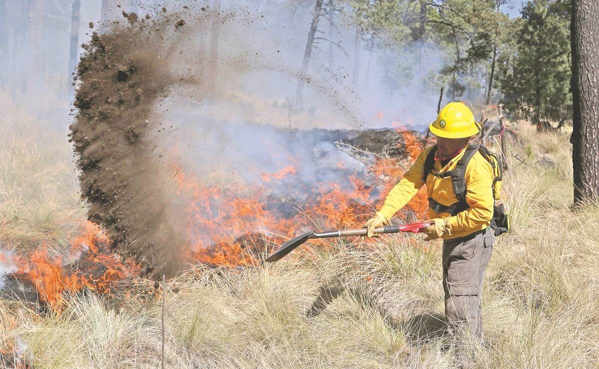 incendio_forestal_01-min