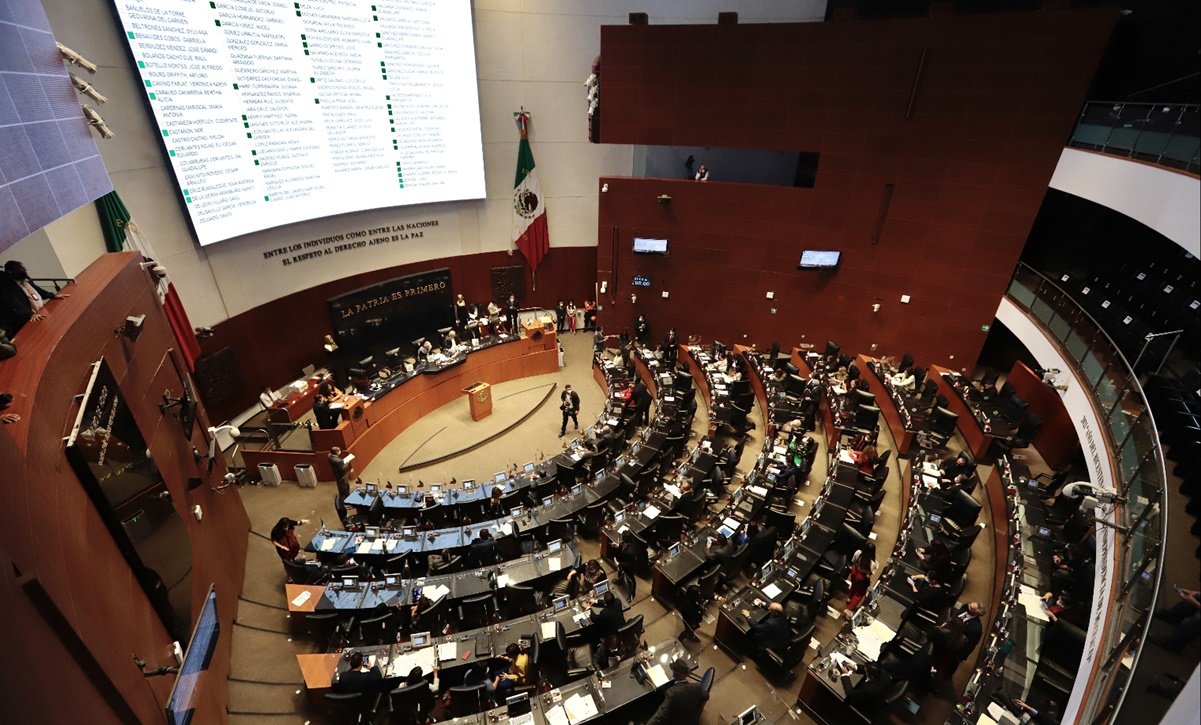 010camara_senado_1