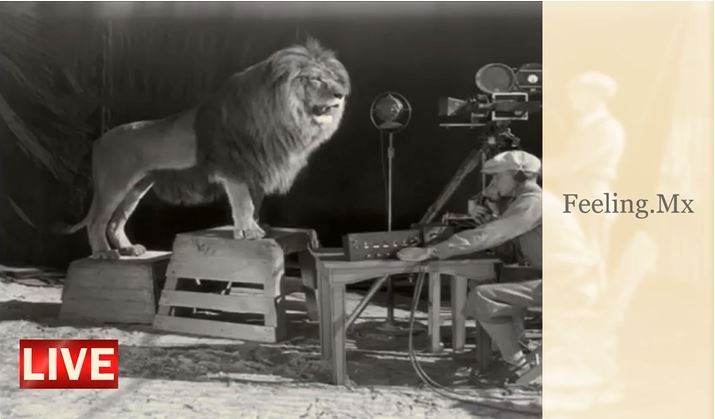 El león de la Metro Goldwyn Mayer, su historia y vigencia como marca de Hollywood