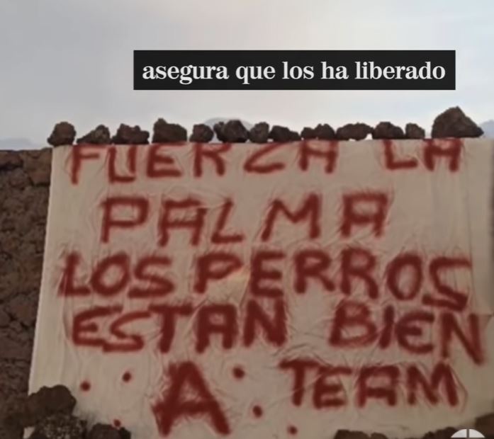 Volcán de La Palma_ Perros atrapados desaparecen previo a rescate