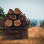 México se sumó de última hora al pacto de la COP26 para combatir la deforestación