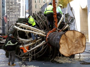 El árbol del Rockefeller Center marca inicio de Navidad. Foto de EFE