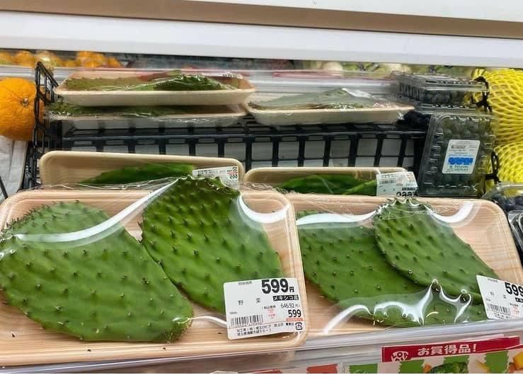 Nopales en Japon