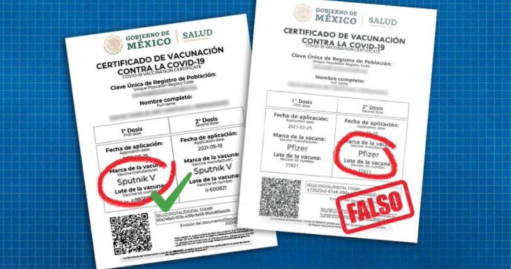certificado falso - Búsqueda de Twitter