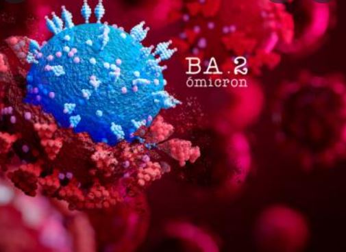 Variante ómicron BA.2 - Búsqueda de Google