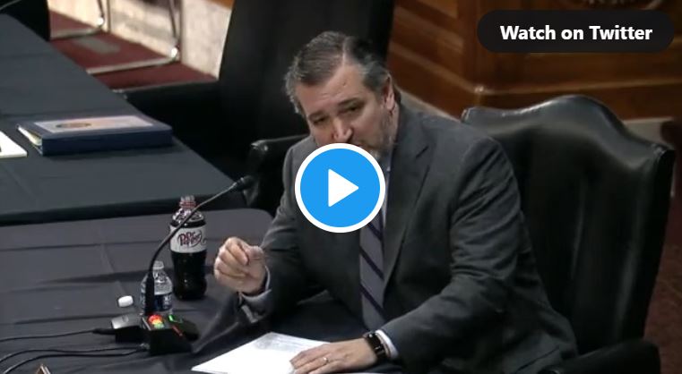 Ted Cruz, senador texano.