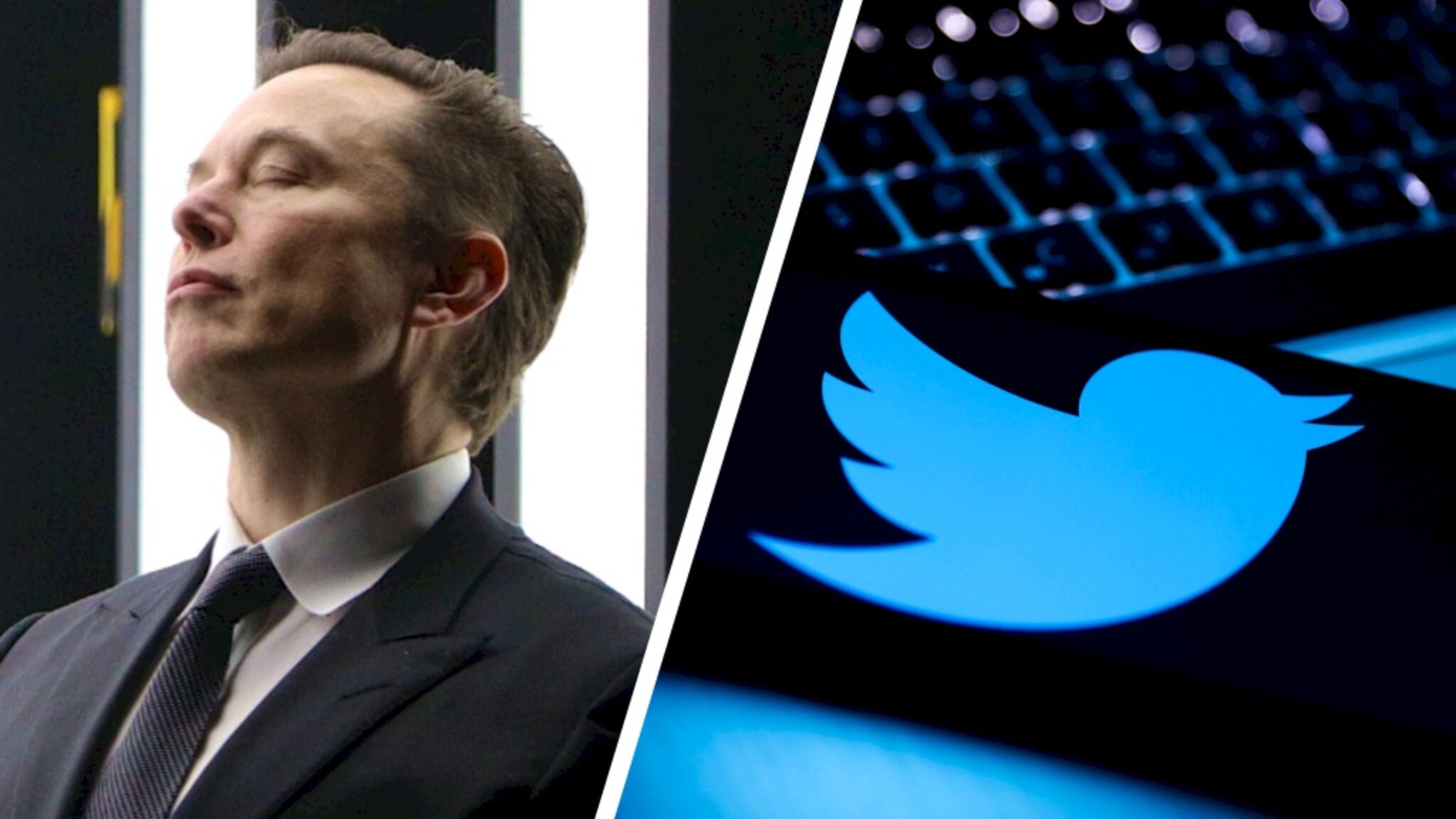 Elon Musk and Twitter