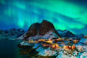 bosque olso - NationalGeographic