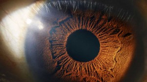 Ojo - Semana.com