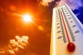 Ola de calor